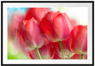 Rote Tulpen Passepartout 100x70