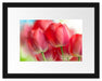 Rote Tulpen Passepartout 38x30