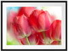 Rote Tulpen Passepartout 80x60