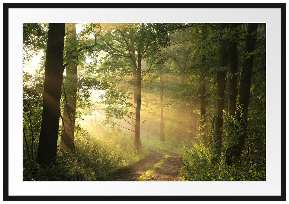 Pixxprint Waldweg, im Galerie-Passepartout Bilderrahmen