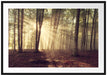Waldlichtung im Sonnenschein Passepartout 100x70