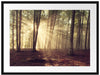Waldlichtung im Sonnenschein Passepartout 80x60