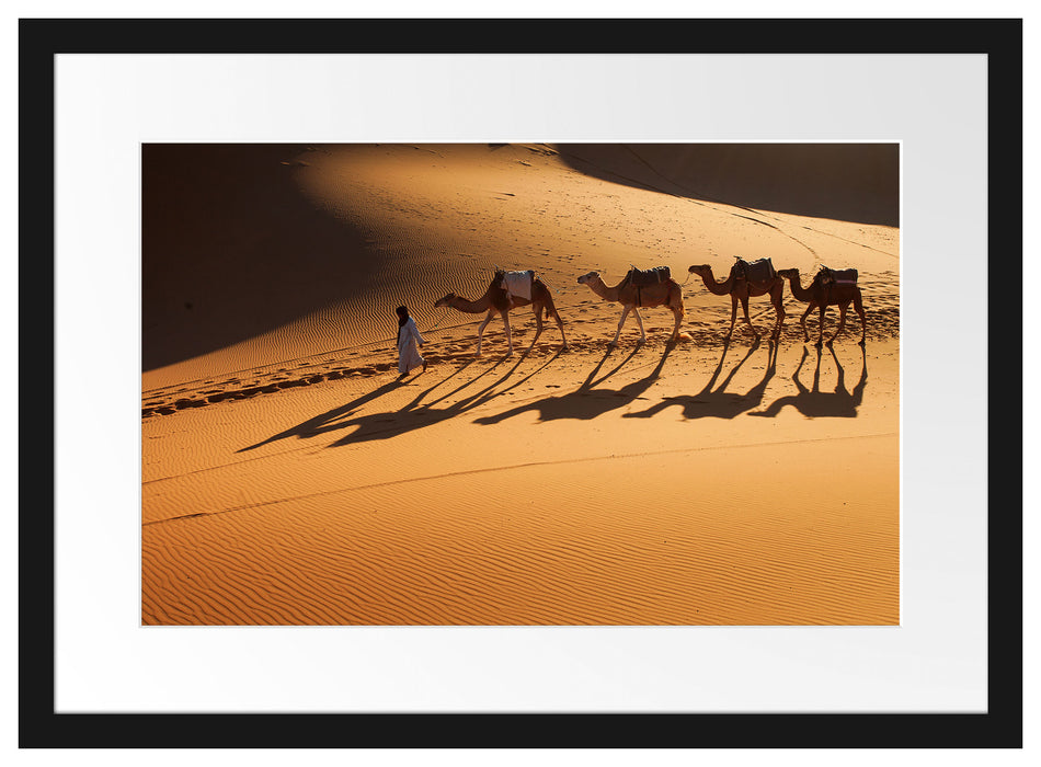 Kamelkarawane in der Wüste Passepartout 55x40