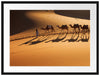 Kamelkarawane in der Wüste Passepartout 80x60