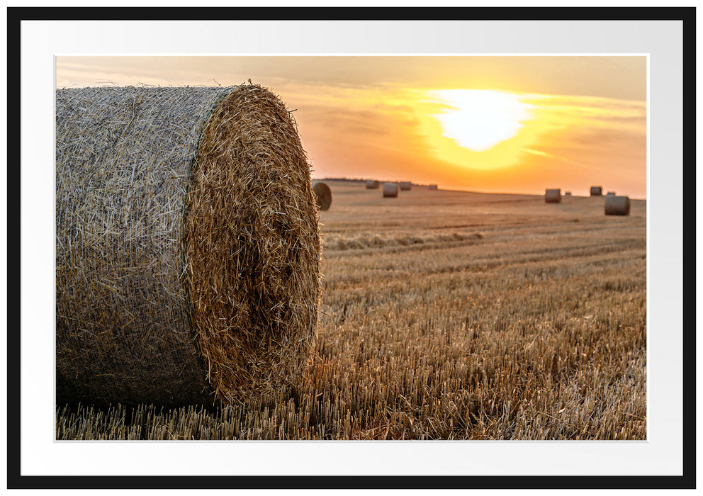 Pixxprint Strohballen auf Feld, im Galerie-Passepartout Bilderrahmen