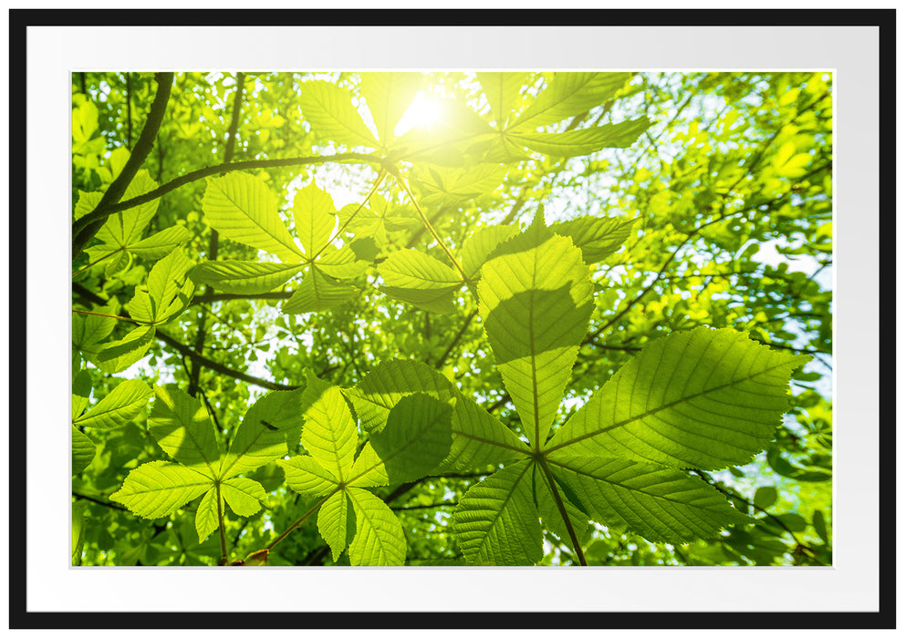 Pixxprint Grüne Bläter, im Galerie-Passepartout Bilderrahmen