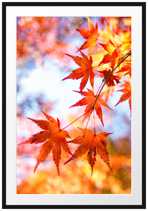 Pixxprint Roter Ahorn, im Galerie-Passepartout Bilderrahmen
