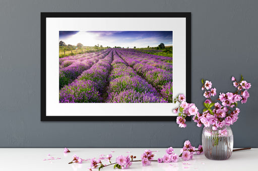 Lavendelfeld Provence Passepartout Wohnzimmer