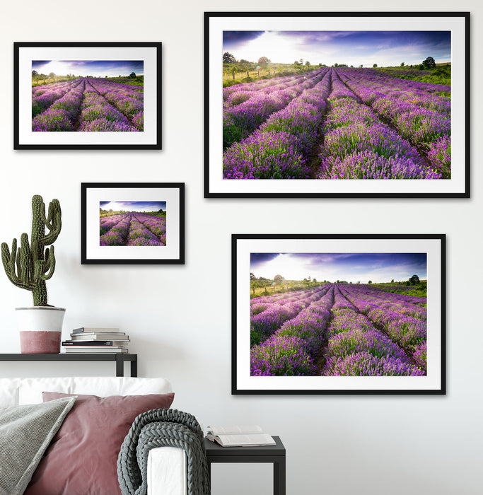 Lavendelfeld Provence Passepartout Dekovorschlag