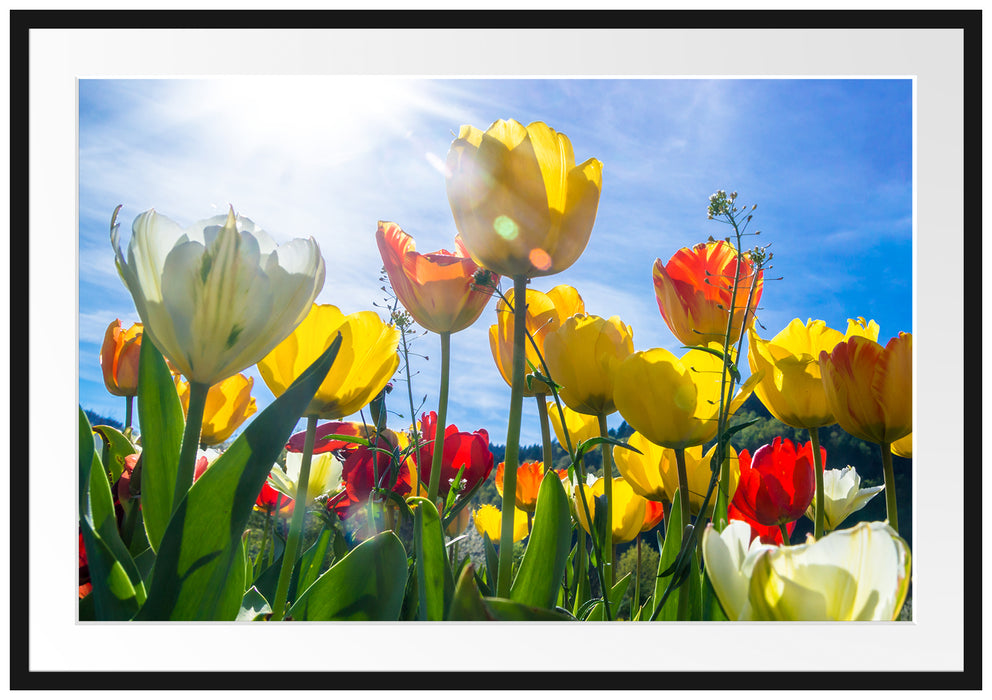 Pixxprint Wiese Froschperspektive, im Galerie-Passepartout Bilderrahmen