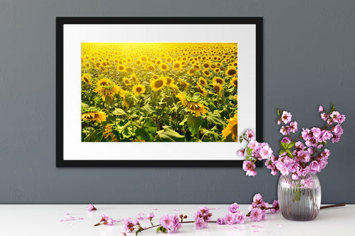 Riesiges Sonnenblumenfeld Passepartout Wohnzimmer