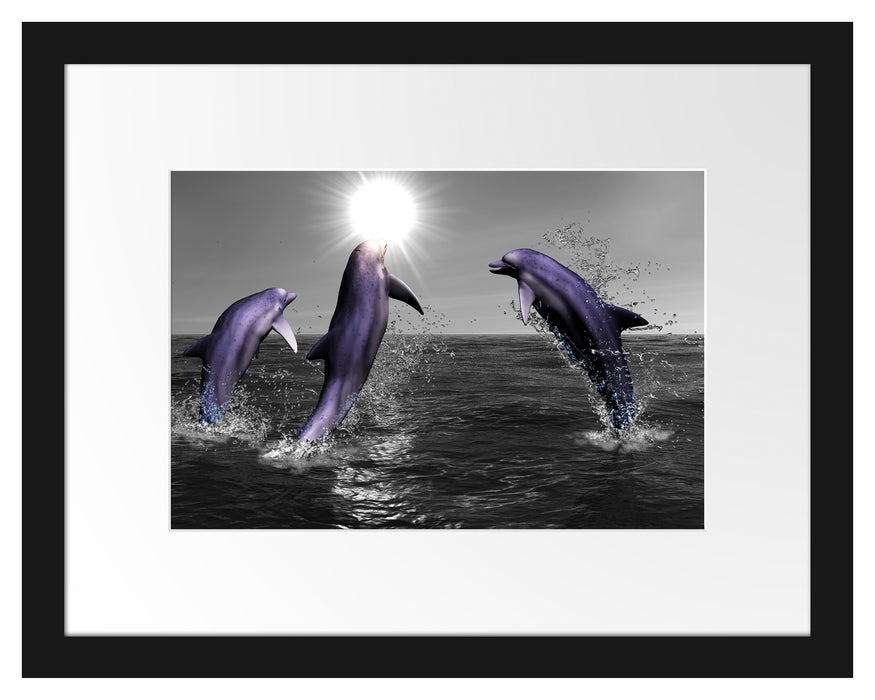 Fröhliche Delfine springen im Meer Passepartout 38x30