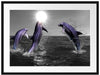 Fröhliche Delfine springen im Meer Passepartout 80x60