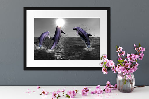 Fröhliche Delfine springen im Meer Passepartout Wohnzimmer