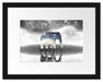 Einsamer Elefant Passepartout 38x30