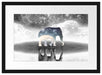 Einsamer Elefant Passepartout 55x40