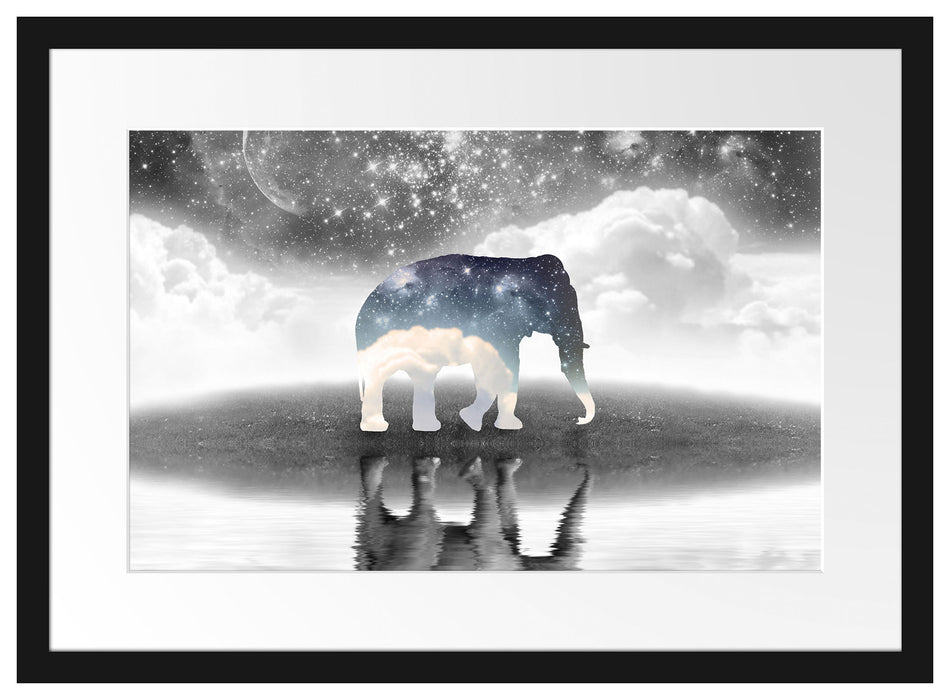 Einsamer Elefant Passepartout 55x40