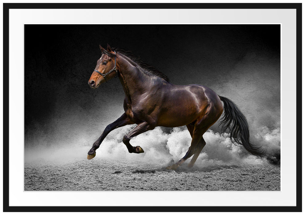 Pixxprint prächtiger Hengst im Sand, im Galerie-Passepartout Bilderrahmen