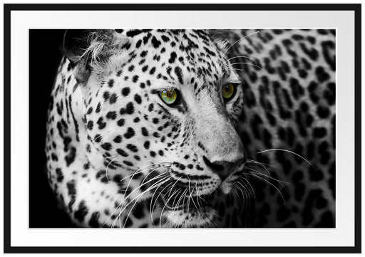 Dark Leopard mit grünen Augen Passepartout 100x70
