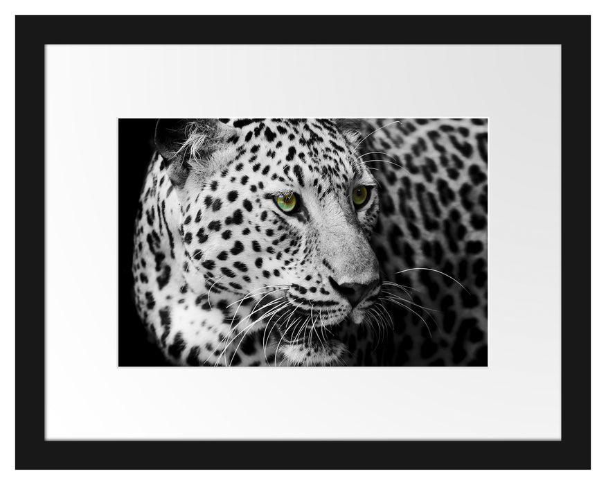 Dark Leopard mit grünen Augen Passepartout 38x30