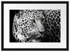 Dark Leopard mit grünen Augen Passepartout 55x40