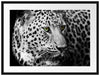 Dark Leopard mit grünen Augen Passepartout 80x60