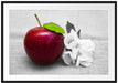 Schöner roter Apfel mit Blüten Passepartout 100x70