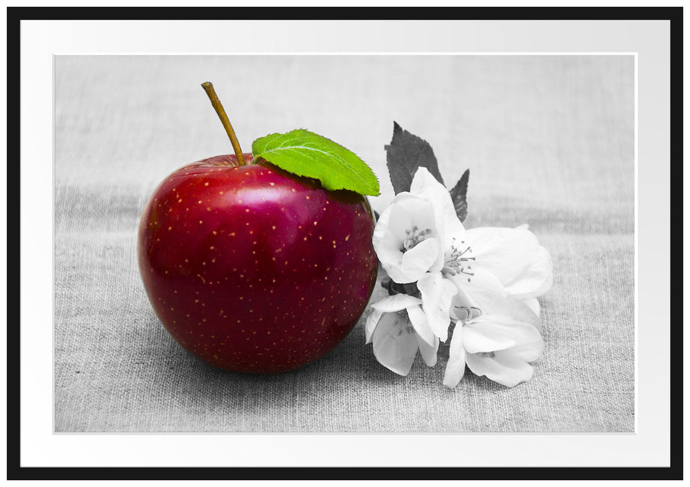 Pixxprint Schöner roter Apfel mit Blüten, im Galerie-Passepartout Bilderrahmen