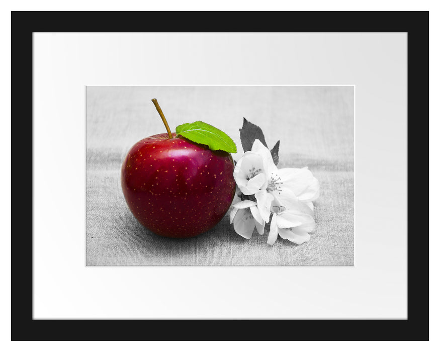 Schöner roter Apfel mit Blüten Passepartout 38x30