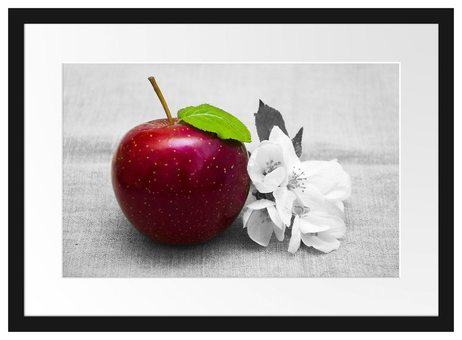 Schöner roter Apfel mit Blüten Passepartout 55x40