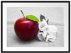 Schöner roter Apfel mit Blüten Passepartout 80x60