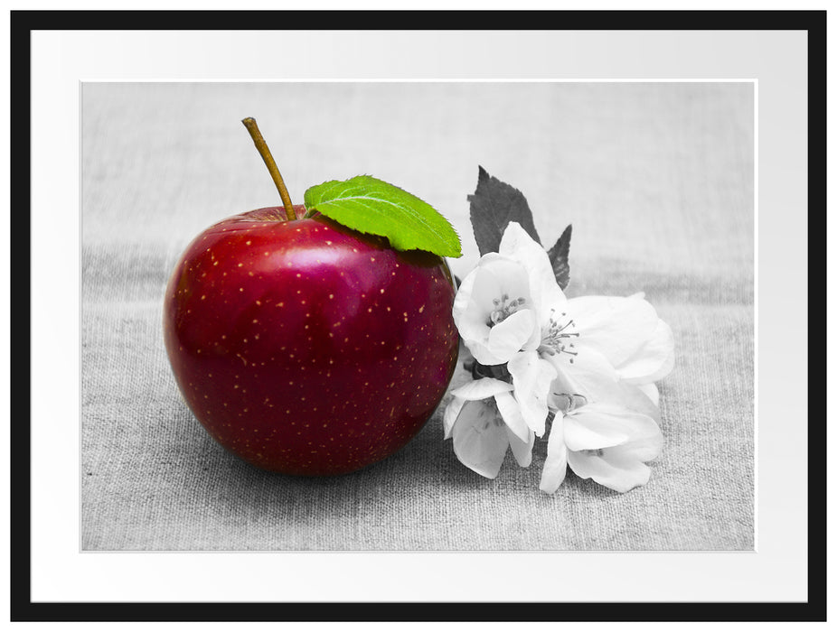 Schöner roter Apfel mit Blüten Passepartout 80x60
