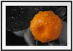 Orange mit Wassertropfen Passepartout 100x70