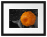 Orange mit Wassertropfen Passepartout 38x30