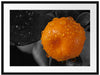Orange mit Wassertropfen Passepartout 80x60