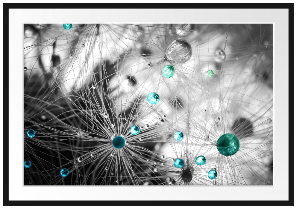 Pixxprint Wassertropfen auf Pusteblume, im Galerie-Passepartout Bilderrahmen