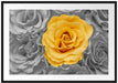 gelbe Rose im Rosenmeer Passepartout 100x70