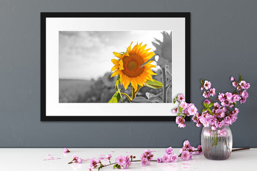 Nahaufnahme einer Sonnenblume Passepartout Wohnzimmer