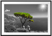 Baum am Mittelmeer Passepartout 100x70