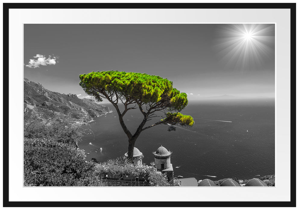 Pixxprint Baum am Mittelmeer, im Galerie-Passepartout Bilderrahmen