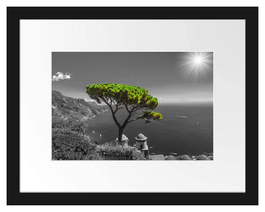Baum am Mittelmeer Passepartout 38x30