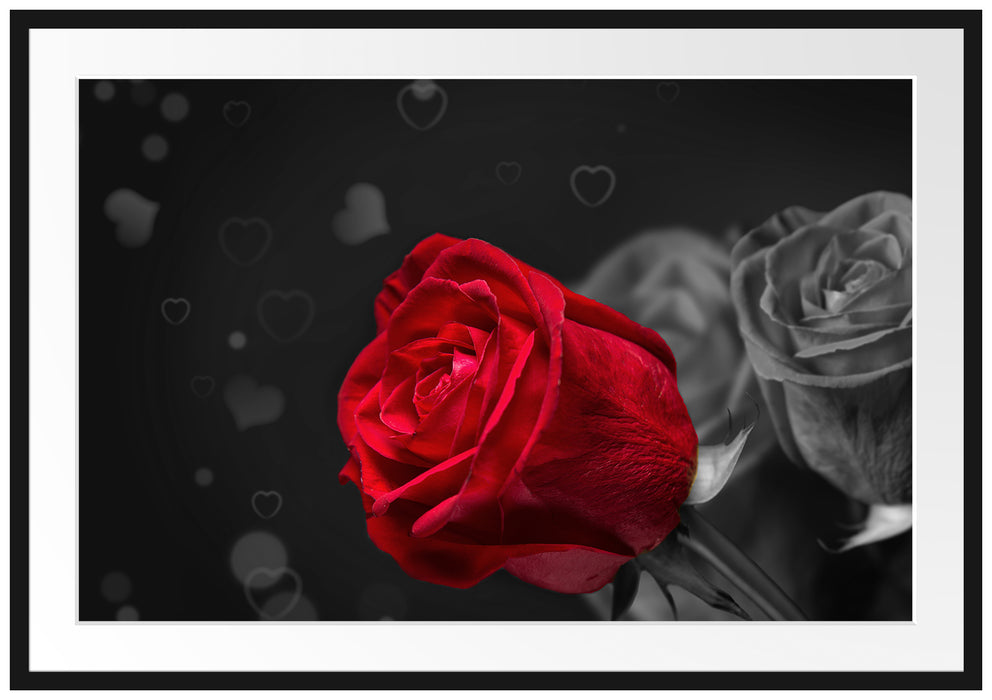 Pixxprint rote Rosen zum Valentinstag, im Galerie-Passepartout Bilderrahmen