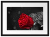 rote Rosen zum Valentinstag Passepartout 55x40