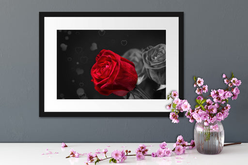 rote Rosen zum Valentinstag Passepartout Wohnzimmer