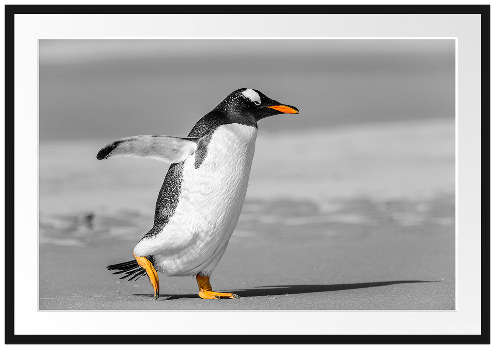 Pixxprint watschelnder Pinguin am Strand, im Galerie-Passepartout Bilderrahmen