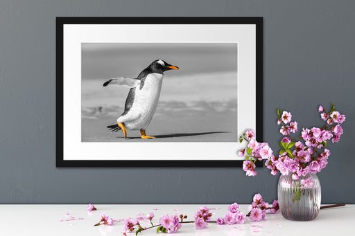 watschelnder Pinguin am Strand Passepartout Wohnzimmer