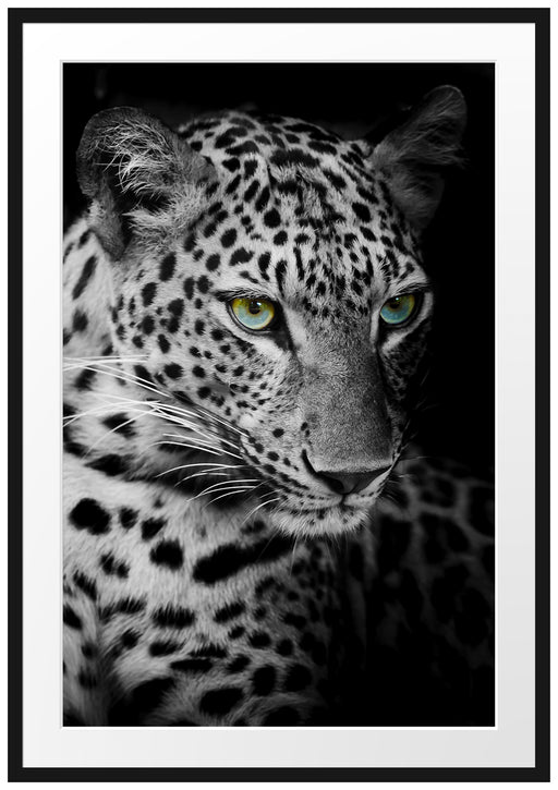 Leopardenkopf Passepartout 100x70