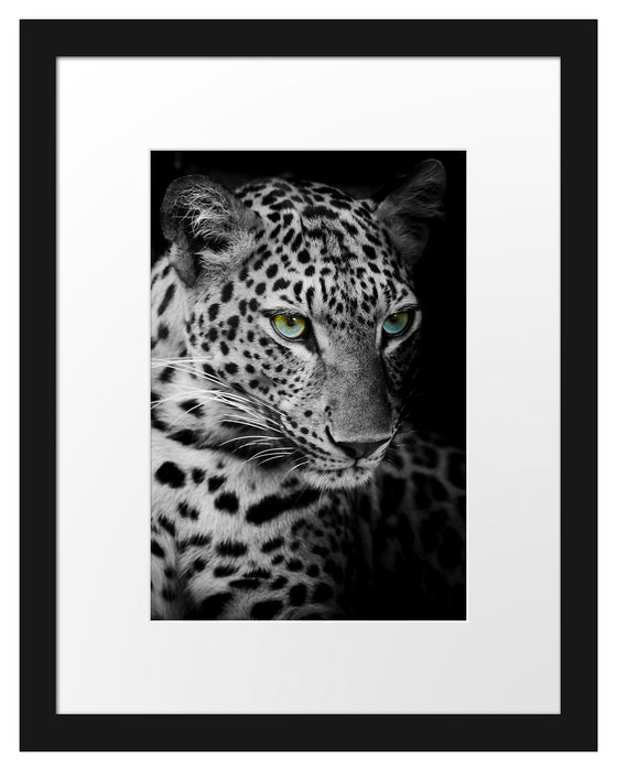 Leopardenkopf Passepartout 38x30