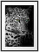 Leopardenkopf Passepartout 80x60