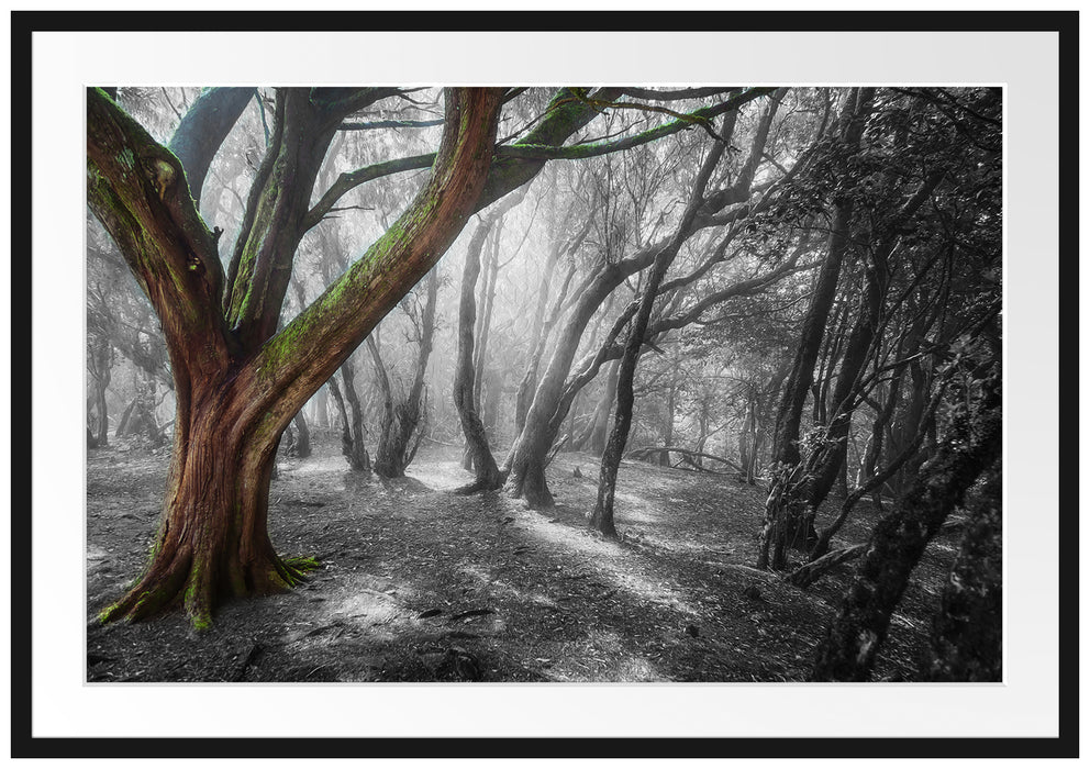 Pixxprint einsamer Baum in tristem Grau, im Galerie-Passepartout Bilderrahmen